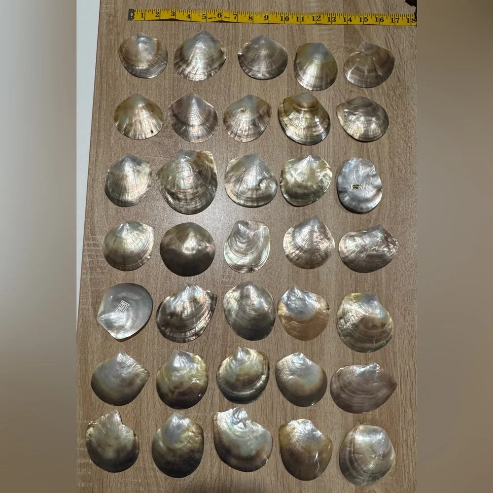 Mother of Pearl Shells- 35 pieces - Picture 3 of 6